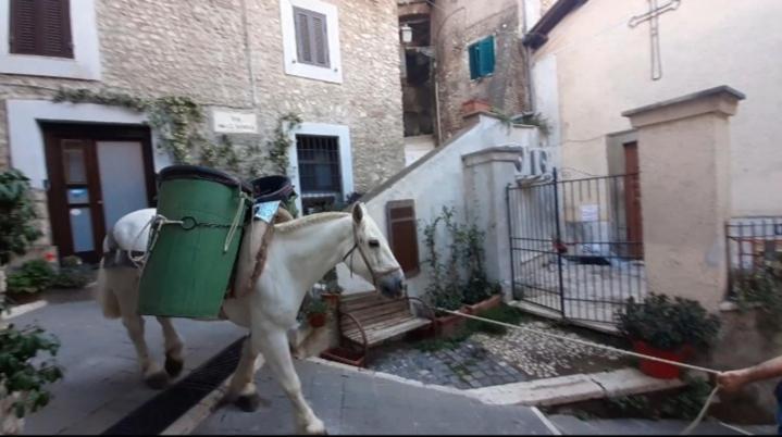 Casetta Nel Borgo Olevano Romano Экстерьер фото