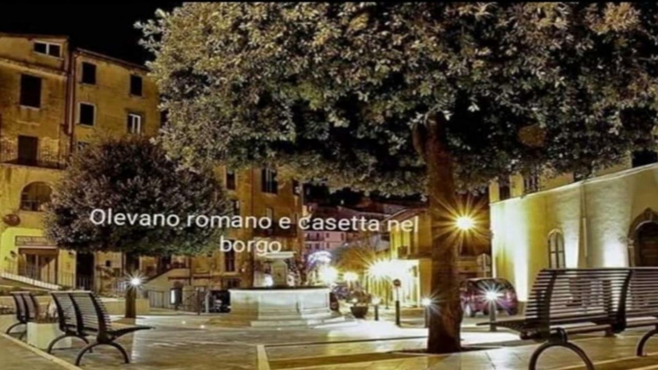 Casetta Nel Borgo Olevano Romano Экстерьер фото